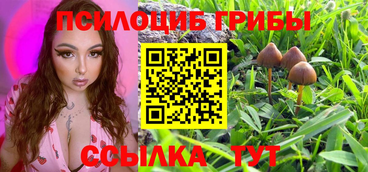 Барабинск  Псилоцибиновые грибы Psilocybe  Вход с VPN 