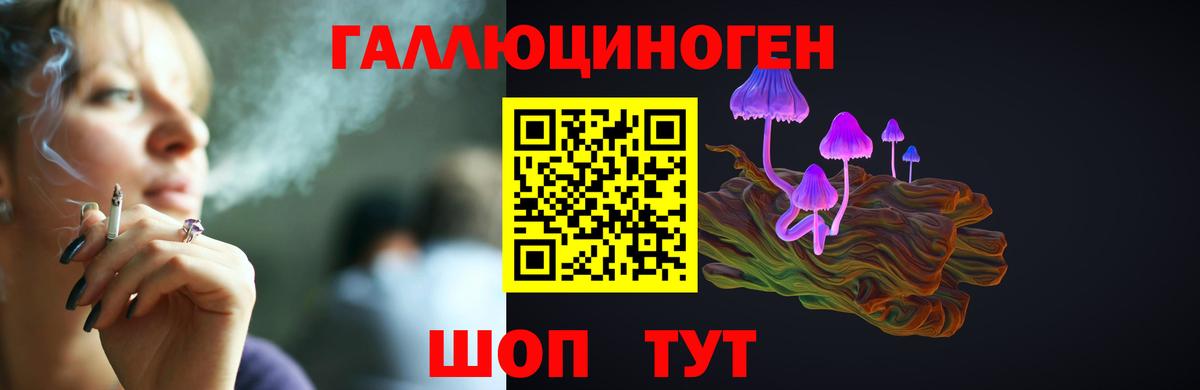 Псилоцибиновые грибы Psilocybine cubensis Барабинск